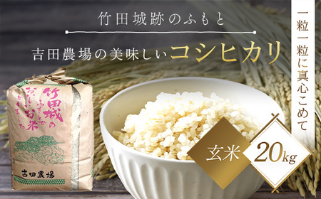 [令和6年産 新米]竹田城跡の麓 吉田農場の美味しいコシヒカリ(玄米)20kg×1 兵庫県 朝来市 AS1D1 お米 米 おこめ ごはん ご飯 こしひかり 玄米 新米 コシヒカリ