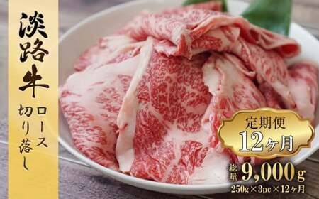 y12z WH [X؂藎 750g (250g×3pbN)@[ Ⓚ  lC]