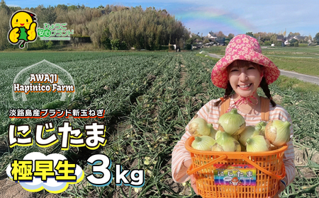 まるでフルーツ？！淡路島産ブランド新玉ねぎ 極早生 「にじたま」3kgダンボール入り【発送時期2025年2月中旬～4月頃】