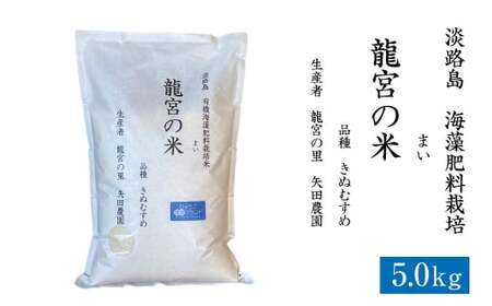 龍宮の米 淡路島産 海藻肥料栽培米 5.0kg[2025年10月より順次発送] [精米 米 お米 白米]