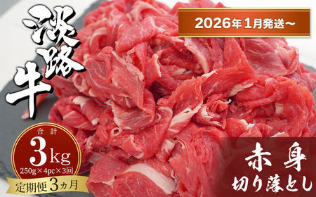y32026N1`zWHԐg؂藎Ƃ 1kgi250×4PCj