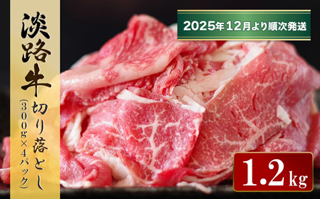 WH ؂藎Ƃ@1.2kg (300g×4pbNjy2025N12菇z@[ Ⓚ ]