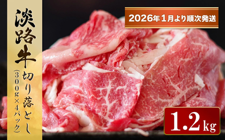WH ؂藎Ƃ@1.2kg (300g×4pbNjy2026N1菇z@[ Ⓚ ]