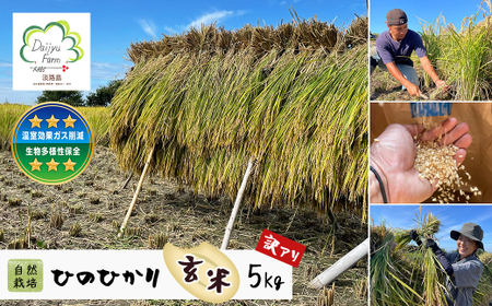 ���R�͔|�@�Ђ̂Ђ���i���āj�@5kg �s���I�ʕi�̂��ߖ�A���t