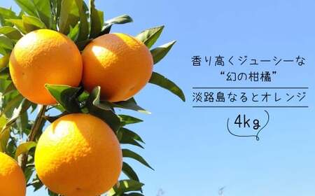 淡路島なるとオレンジ 4kg [発送時期2026年3月〜4月頃]