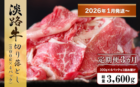 y32026N1`zWH ؂藎@1.2kg (300g×4pbNj