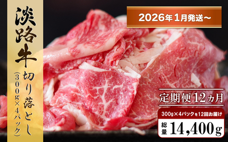 y122026N1`zWH ؂藎@1.2kg (300g×4pbNj