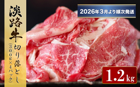 WH ؂藎Ƃ@1.2kg (300g×4pbNjy2026N3菇z@[ Ⓚ ]