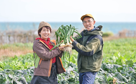 [淡路島のあま〜い新玉ねぎ]淡路島ファーム太陽と海 から期間限定でお届け 2kg [発送時期2026年3月中旬〜5月中旬頃]