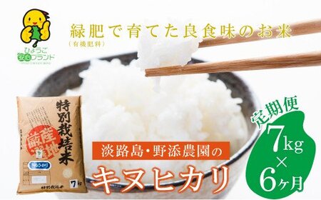 [定期便]野添農園のキヌヒカリ7kgx6ヶ月「ひょうご安心ブランド」 [きぬひかり 精米 白米]