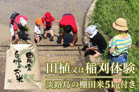 田植又は稲刈体験 淡路島の棚田米5kg付