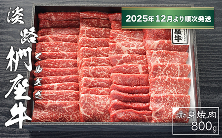 WH@Ԑgē800y2025N12菇z@[јa ① ēZbg]