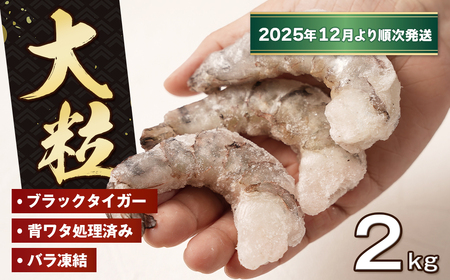 ̑嗱ނс@w^ 2kgi1kg×2܁jy2025N12菇z@ubN^CK[ Ⓚ LGr  ^ CV