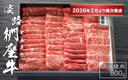 WH@Ԑgē800y2026N2菇z@[јa ① ēZbg]