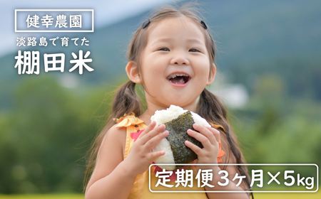 �y����ցz���K�_���̒I�c�� 5kg×3�����Z�b�g ���� ���� �_�ƒ���