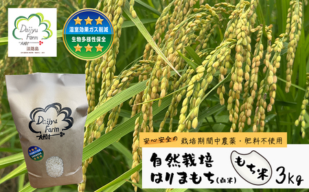 自然栽培もち米 はりまもち(白米) 3kg