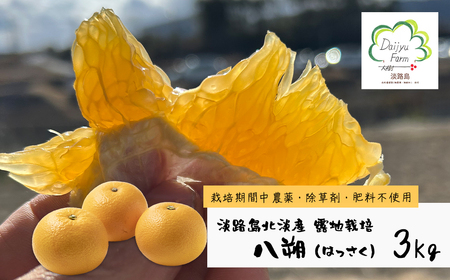 淡路島北淡産 露地栽培八朔(はっさく) -栽培期間中、農薬・除草剤・肥料不使用 - 約3kg