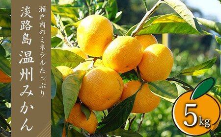 B݂@5kg@TCYFXrElEk~bNX