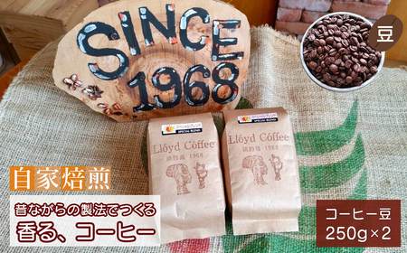 ロイドコーヒースペシャルブレンド(豆)500g(250g×2個)自家焙煎 コーヒー 豆 コーヒー 豆