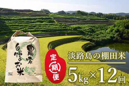 yցzWH̒Icā@5kg×12@@[ ]