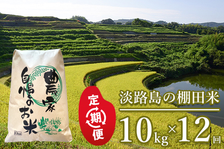 yցzWH̒Icā@10kg×12@@[ ]