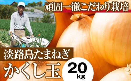 今井ファームの淡路島たまねぎ「かくし玉」20kg [玉ねぎ 玉葱 淡路島 玉ねぎ たまねぎ]