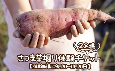 さつま芋堀り体験チケット2名様 [体験時期:9月20〜11月20日]