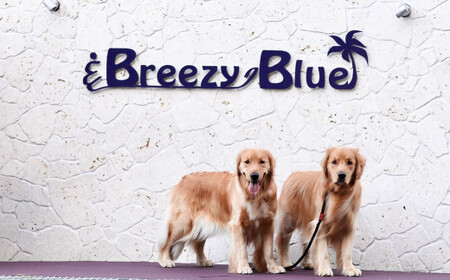 貸別荘BreezyBlue淡路島 ご利用券[10月〜3月宿泊限定](10,000円分)