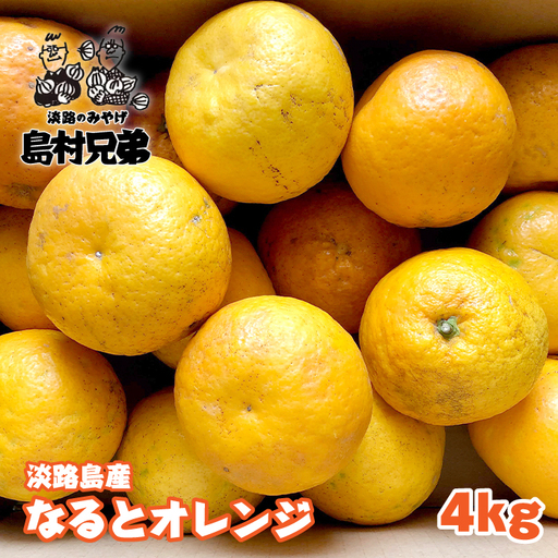 淡路島産 なるとオレンジ 4kg