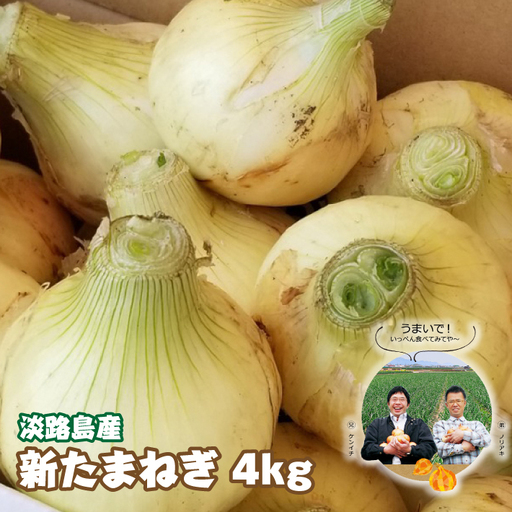 淡路島産 新たまねぎ 4kg[発送時期:2026年3月〜5月頃]