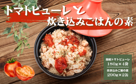 AP1　田中農園の凝縮トマトピューレ&炊きこみご飯セット【 とまと トマト トマトソース 炊き込みご飯の素 ごはんの素 缶詰 非常食 保存食 】