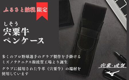 宍粟牛 ペンケース[ ペン 筆入れ ミズノテクニクス ミズノ グラブ グローブ 宍粟牛 牛革 限定 ふるさと納税限定 シンプル スマート ビジネス 就職 祝い 贈り物 プレゼント ]