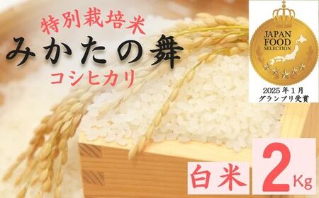 P15 白米 2Kg コシヒカリ「 みかたの舞 」 特別栽培米 [ こしひかり コシヒカリ 特別栽培米 お米 米 白米 精米 ブランド米 2キロ 兵庫県産 兵庫県 ジャパンフードセレクション 最高賞 グランプリ ]