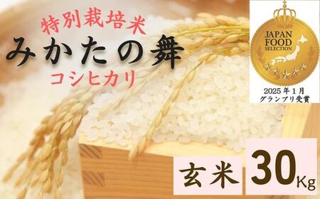 P17 玄米 30Kg コシヒカリ「 みかたの舞 」 特別栽培米 [ こしひかり コシヒカリ 特別栽培米 お米 米 玄米 白米 精米 ブランド米 30キロ 兵庫県産 兵庫県 ジャパンフードセレクション 最高賞 グランプリ ]