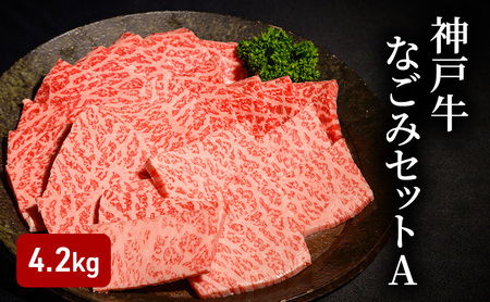 神戸牛なごみセットA(4.2kg) [肉 牛肉 神戸牛 最高級肉 神戸ビーフ 神戸肉 但馬牛 もも 焼肉 かたロース スライス すき焼き らんぷ ステーキ 食べ比べ お取り寄せ 加東市 兵庫県]