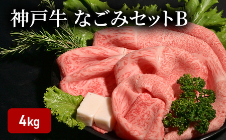 神戸牛なごみセットB(4kg) [肉 牛肉 神戸牛 最高級肉 神戸ビーフ 神戸肉 但馬牛 もも スライス すき焼き 肩ロース ロース ステーキ 焼肉 食べ比べ お取り寄せ 加東市 兵庫県]