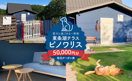 東条湖テラス ピノワリス 宿泊クーポン券 5万円分 愛犬と過ごせる一軒家 宿泊 旅行 クーポン ドッグラン 愛犬 犬 東条湖 加東市