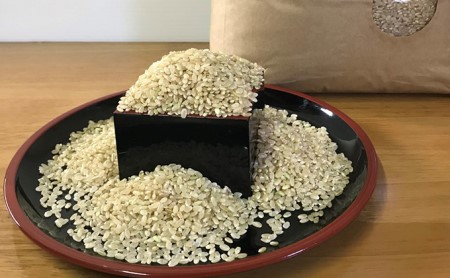 【令和3年産】加東市産ヒノヒカリ　玄米10kg