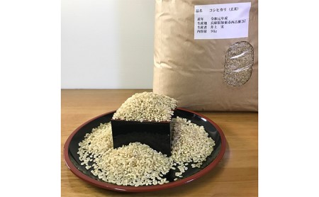 米 令和5年産 加東市産 コシヒカリ 玄米 9kg