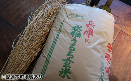 《令和3年産 特別栽培米》日本酒に合うヒノヒカリ 玄米30kg 5分搗き米約27kg