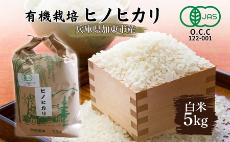 米 有機JAS 【令和6年産】 有機栽培 ヒノヒカリ 白米 5kg [米 こめ コメ 精米 有機JAS認証 習得済み ライス ご飯 おにぎり お弁当 和食 主食 国産 炭水化物 直送 産地直送 兵庫県産 日本産 ]