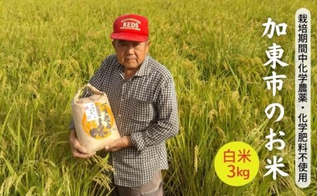 [令和5年産]栽培期間中化学農薬・化学肥料不使用 加東市のお米 白米 3kg
