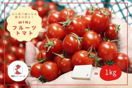 フルーツトマト[発送時期:1月〜6月]