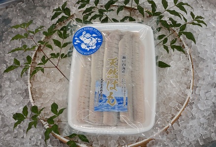 瀬戸内海産 天然はも骨切り