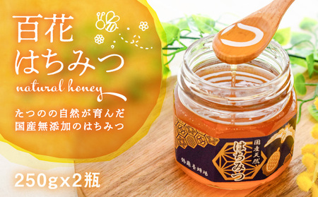 H-73【国産無添加】たつのの自然が育んだ天然「百花はちみつ」250g×2瓶