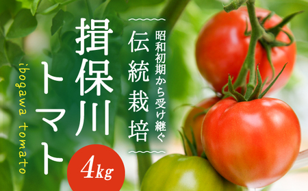 G-9【昭和初期から受け継ぐ伝統栽培】酸味と甘みのバランスがよい「揖保川トマト」4kg【発送時期：12月～６月】