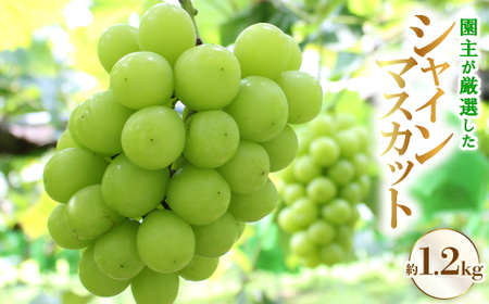 傪IuVC}XJbgvyzsnFEkCEꌧzy1482866z