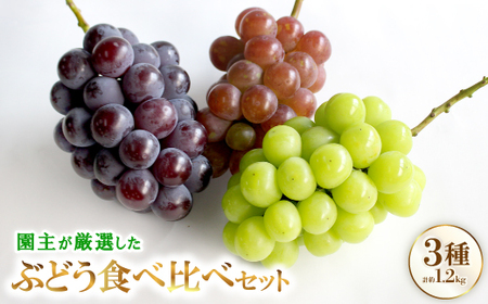 I 3ނ̂ԂǂHה׃ZbgyzsnFEkCEꌧzy1482869z