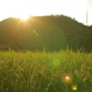 쒬̂āERVqJ()18kgy1497783z