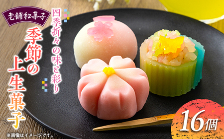 G߂̏㐶َq16ZbgyzsnFzy1500923z